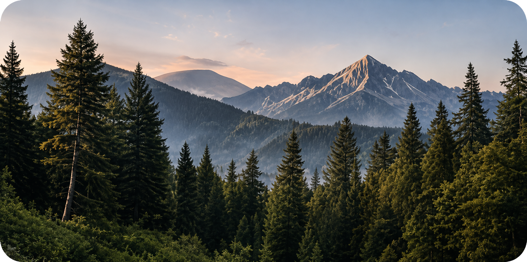 High-Altitude Adventure & Wildlife Zone