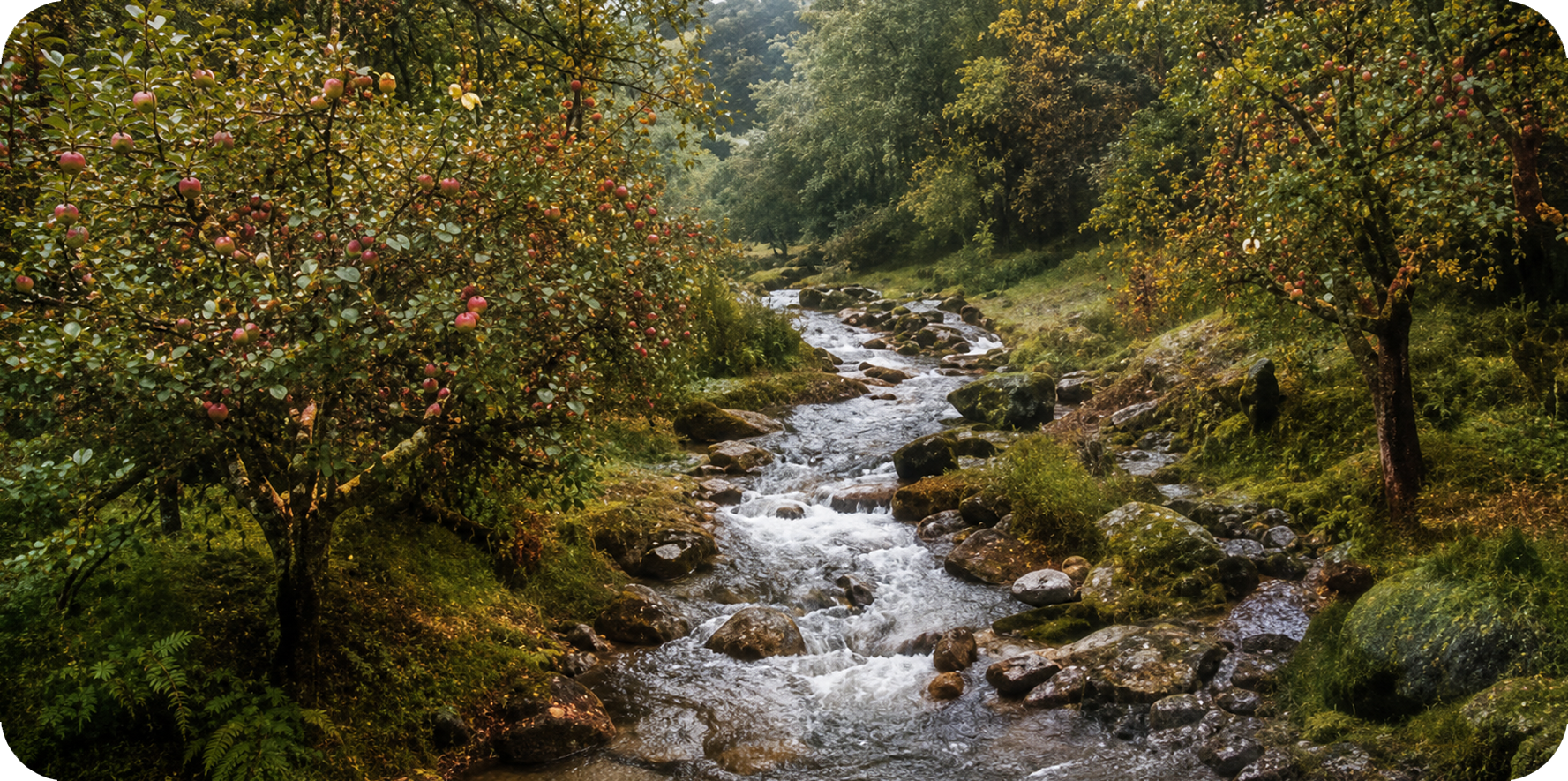 Hidden Valley Nature Trails